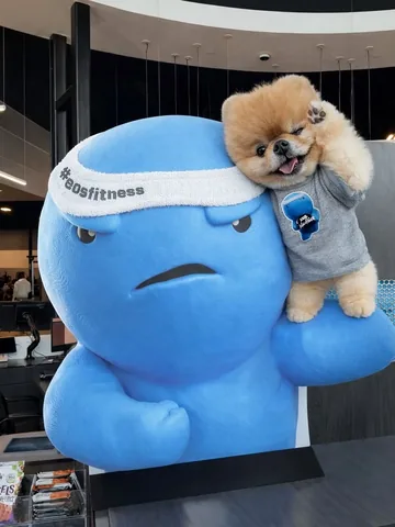 jiffpom Instagram post about Brand or product reference
