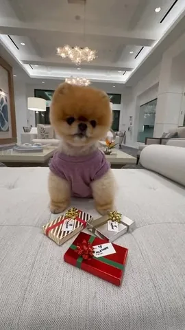 jiffpom Instagram post about Holiday character video