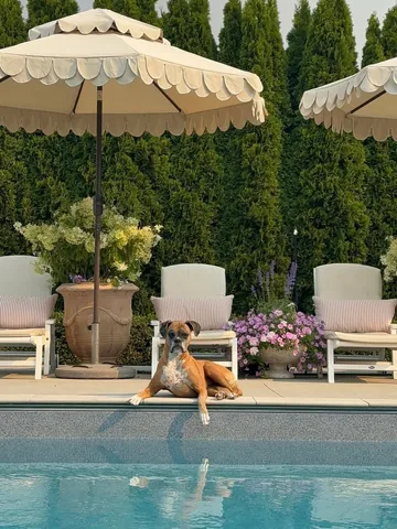 jillian.harris Instagram post about Summer reflection