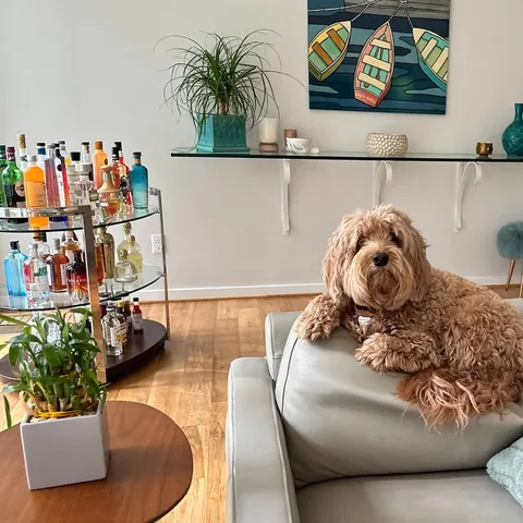 jillsmokler Instagram post about Home decor humor