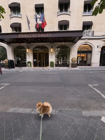 johanneshuebl Instagram post about Paris Fashion Week visit