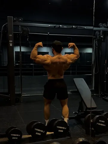 joven_sagabain Instagram post about Back training