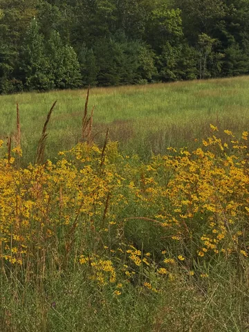 juliaberolzheimer Instagram post about Nature appreciation