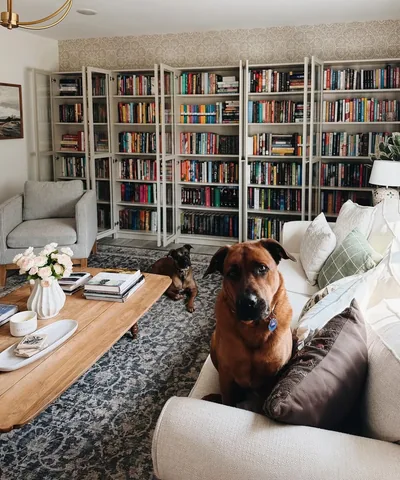 juliawreads Instagram post about Dogs and reading
