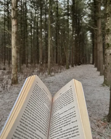 kaitsbookcase Instagram post about Romance reading