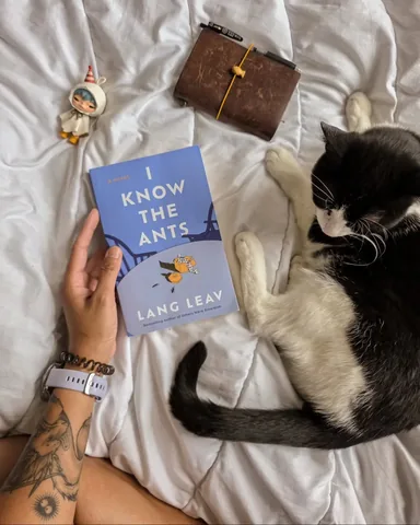 kath_reads Instagram post about Book release recommendation