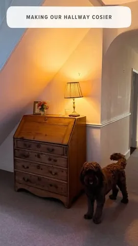 katie_ellison Instagram post about Hallway storage