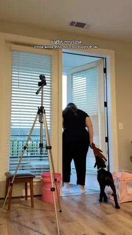 kelssjourney Instagram post about Living alone with pets