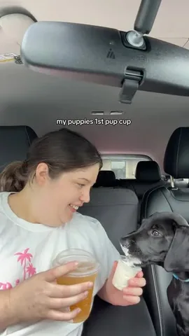 kelssjourney Instagram post about Puppy care