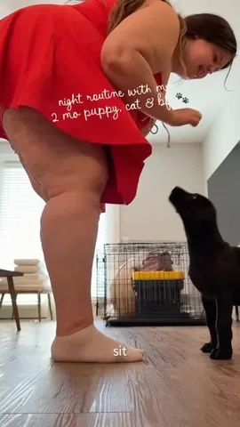 kelssjourney Instagram post about Pet routine