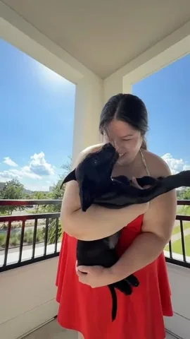 kelssjourney Instagram post about New puppy adoption