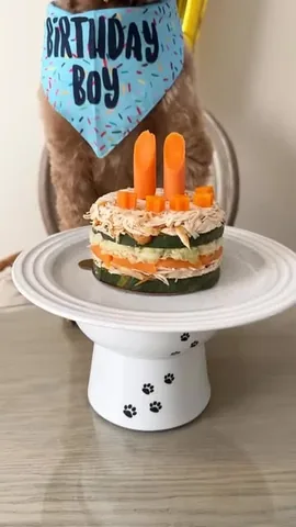 kingsleythedoood Instagram post about Dog birthday