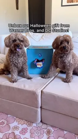 kingsleythedoood Instagram post about Dog themed promotional gift