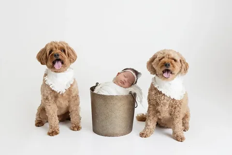 kingsleythedoood Instagram post about Newborn family introduction