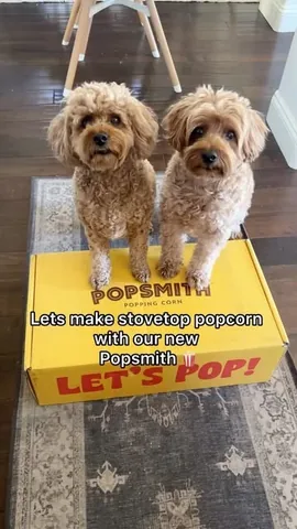 kingsleythedoood Instagram post about Popcorn maker product showcase