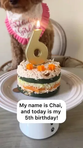 kingsleythedoood Instagram post about Dog birthday celebration