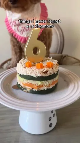 kingsleythedoood Instagram post about Pet birthday traditions