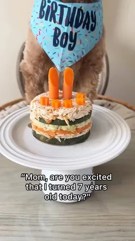 kingsleythedoood Instagram post about Dog birthday celebration