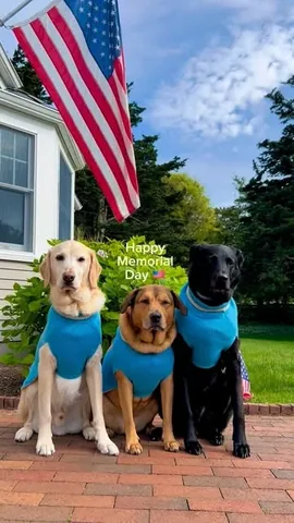 knoxandbear Instagram post about Memorial Day remembrance