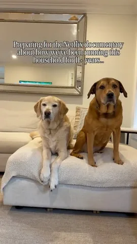 knoxandbear Instagram post about Dog companionship