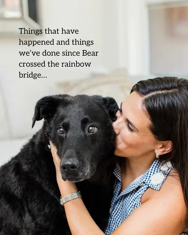 knoxandbear Instagram post about Pet loss and remembrance