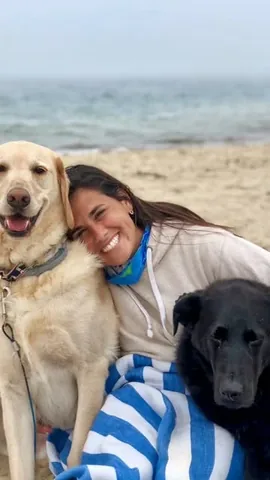 knoxandbear Instagram post about Pet remembrance during travel