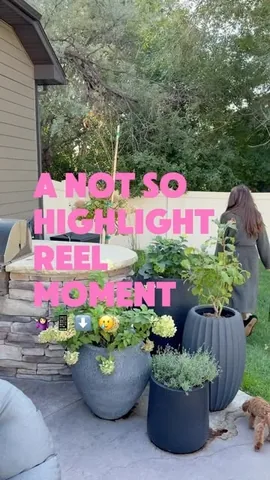 __kylienelson Instagram post about Creator journey and self doubt