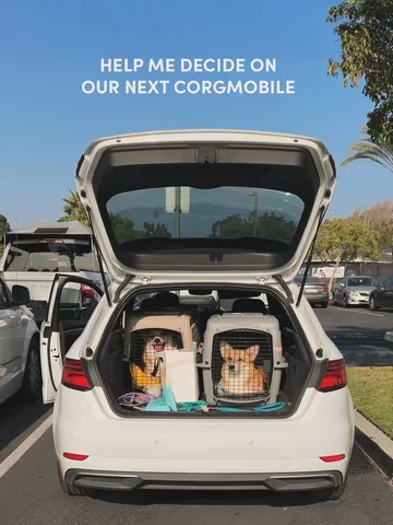 lacorgi Instagram post about Choosing a dog friendly vehicle