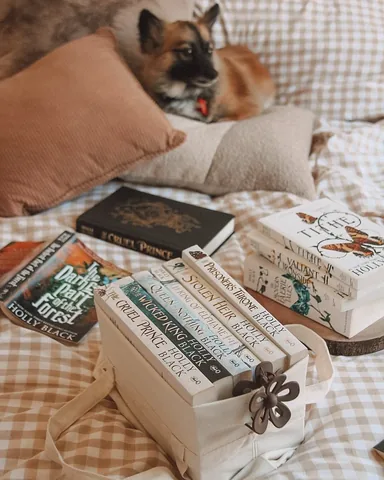 laurabookish Instagram post about Favorite fantasy series