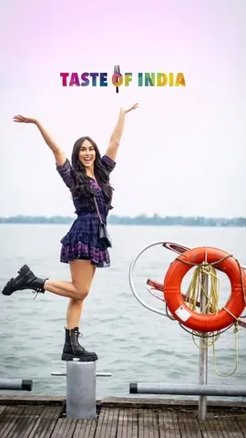 laurengottlieb Instagram post about Taste of India Festival highlight reel