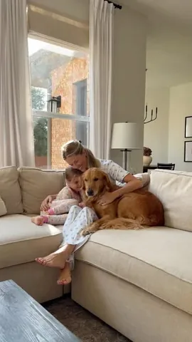 laurynlately Instagram post about Pet food