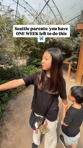 Carly Hamaguchi Instagram post thumbnail