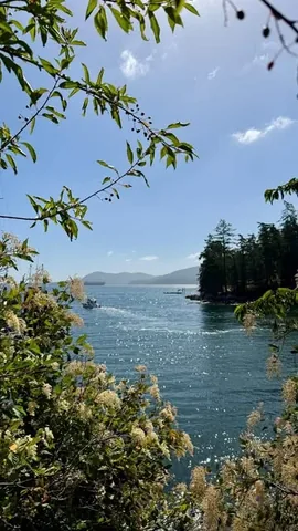 lezseetheworld Instagram post about Gulf Island summer living