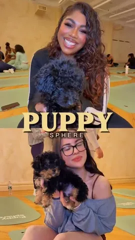lifeisrockyy Instagram post about Puppy yoga