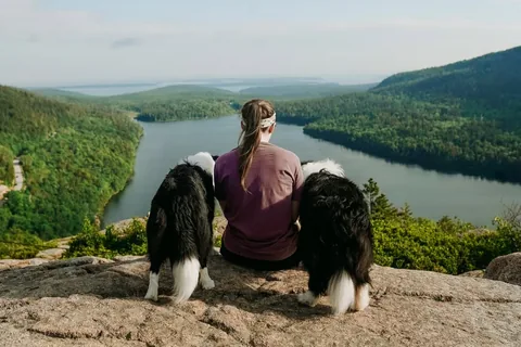 lifewithcollies Instagram post about Adventure with dog