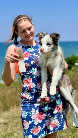 lifewithcollies Instagram post about Dog show experience