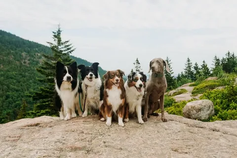 lifewithcollies Instagram post about Upcoming wedding trip
