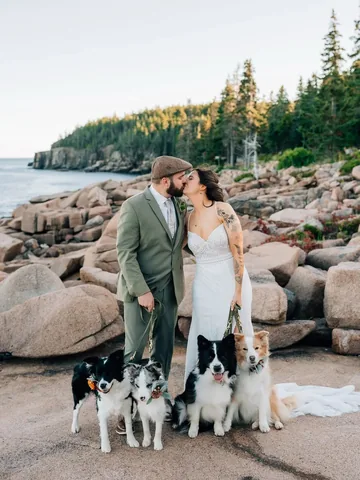 lifewithcollies Instagram post about Wedding celebration