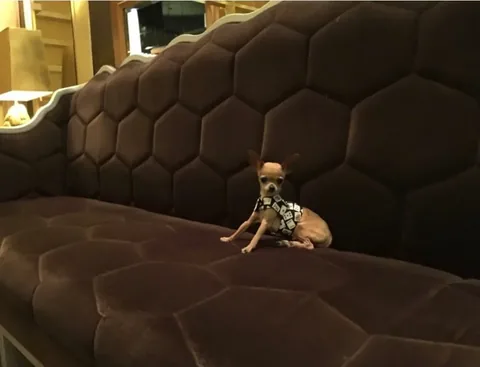 littleboogieshoes Instagram post about Boogie travel memory