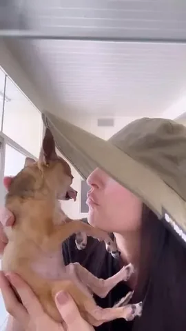 littleboogieshoes Instagram post about Boogie kisses