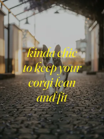 littlecooperbear Instagram post about Corgi health and weight