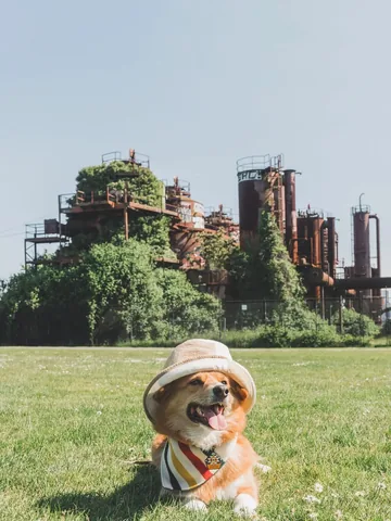 littlecooperbear Instagram post about Pride celebration