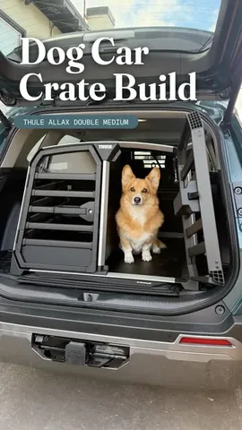 littlecooperbear Instagram post about Dog transportation safety
