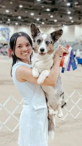 littlecooperbear Instagram post about Dog portrait