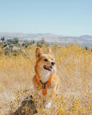 Kim | Cooper & Friday Instagram post thumbnail