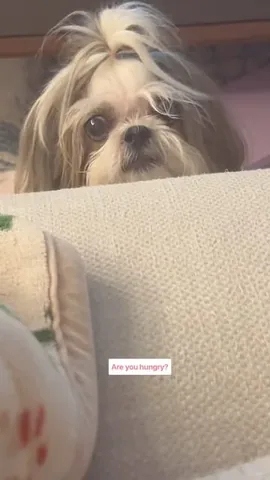 littleyetichingching Instagram post about Food and appetite