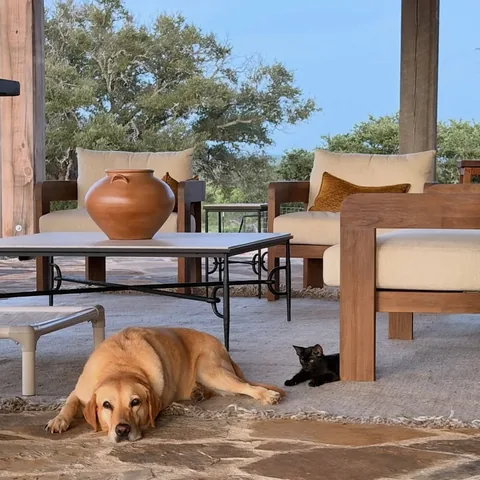 livingwithlandyn Instagram post about New animals