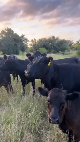 livingwithlandyn Instagram post about Ranch routine
