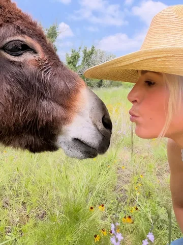 livingwithlandyn Instagram post about Romance