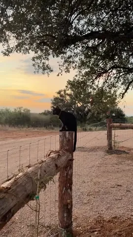 livingwithlandyn Instagram post about Daily life